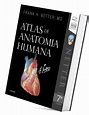 Netter Atlas De Anatomia Humana- 7A Edição - Livresp - Livrarias ...