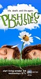 Pushing Daisies (TV Series 2007–2009) - Photo Gallery - IMDb