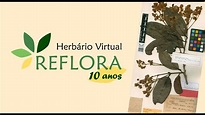 Herbário Virtual Reflora - 10 anos - YouTube