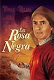 Película: La Rosa Negra (1950) - The Black Rose | abandomoviez.net