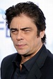 Benicio Monserrate Rafael del Toro Sánchez, más conocido como Benicio ...