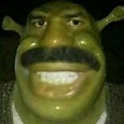 Shrek Mexicano (ShrekMexicano) - Profile | Pinterest