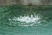 File:Water splash.jpg - Wikimedia Commons