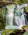 Slateford Creek Falls Trail In Pennsylvania Will Take You To A ...