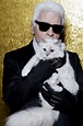 Karl Lagerfelds Katze Choupette relaxt am liebsten in der Hängematte ...