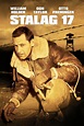 Stalag 17 (1953) - Posters — The Movie Database (TMDB)