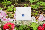 Summer Wildflower Wax Seals - AnchoredScraps.com