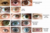 The Eye Color Chart - HubPages
