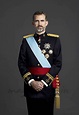 Felipe VI, ya tiene sus fotos oficiales como militar - magazinespain.com