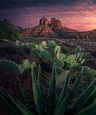Desert in the American Southwest : MostBeautiful