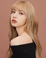 [USER POST] “YG STOP MISTREATING LISA”: Fans requesting better ...