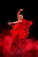Dancer | Flamenco, Spanish dancer, Flamenco dancers