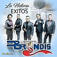 ‎La Historia de Los Éxitos - Album by Grupo Bryndis - Apple Music