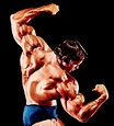 Awesome MR Olympia: ONE AND ONLY ARNOLD SCHWARZENEGGER