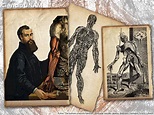 Andrés Vesalio y su aporte a la anatomía moderna - Ciencia UNAM
