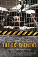 The Experiment - Film 2010 - AlloCiné