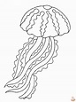 Jelly Fish Coloring Pages Free Printable - GBcoloring