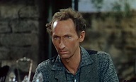 Arthur Hunnicutt (1950 - in "Broken Arrow") | Actors: Supporting ...