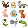 Colección de lindos animales domésticos de dibujos animados. | Vector ...