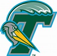Tulane Green Wave Logo - Secondary Logo - NCAA Division I (s-t) (NCAA s ...