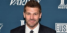 David Boreanaz Net Worth, Salary and Earnings - Wealthypipo