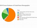 Exploring The Us Racial Demographics In 2020 Through A Pie Chart ...