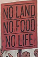 No Land No Food No Life (película 2013) - Tráiler. resumen, reparto y ...