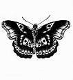 harry styles butterfly tattoo in 2021 | Harry styles butterfly, Harry ...