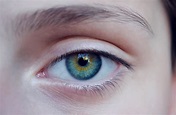 Kostenlose Bild: Blau, Frauen, Augen, Augenbrauen, blaues Auge, Blick ...