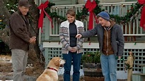 A Dog Named Christmas (2009) — The Movie Database (TMDB)