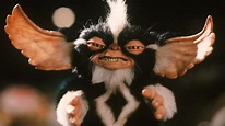 ‎Gremlins 2: The New Batch (1990) directed by Joe Dante • Reviews, film ...