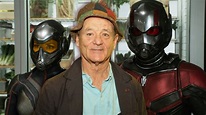 Bill Murray in Ant-Man and the Wasp: Quantumania? Actor Hints It's So