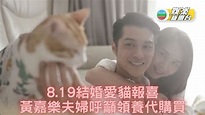 8.19結婚愛貓代報喜 黃嘉樂夫婦籲領養代購買 - YouTube