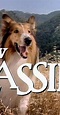 The New Lassie (TV Series 1989–1992) - Connections - IMDb