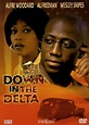 Down in the Delta: DVD oder Blu-ray leihen - VIDEOBUSTER.de