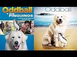 Oddball y sus Pingüinos ( 2015 ) | Película Completa en español ...