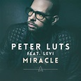 Miracle | Peter Luts – Télécharger et écouter l'album