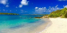 A Guide to Vieques and Culebra: Puerto Rico's Lush Outer Islands