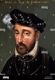 Portrait of Henri II - Henry II King of France French Stock Photo - Alamy