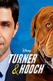 Turner & Hooch (TV Series 2021-2021) - Posters — The Movie Database (TMDB)
