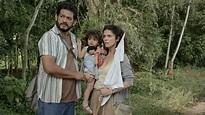 What Lucía Saw - Film - SensCritique