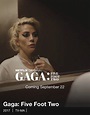 Sección visual de Gaga: Five Foot Two - FilmAffinity