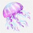 Jellyfish Cartoon PNG Transparent, Beautiful Jellyfish Cartoon ...