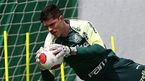 Vinícius Silvestre Costa | Vinícius Silvestre | Palmeiras Online