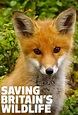 Saving Britain's Wildlife - TheTVDB.com