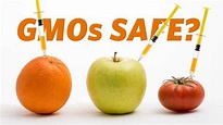 Are GMO Foods Safe? | Ars Technica - YouTube