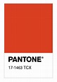 Colore PANTONE® 17-1463 TCX Tangerine Tango - Numerosamente.it
