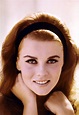 ann-margret - Ann-Margret Photo (22363788) - Fanpop