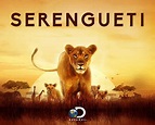 Discovery en Español presenta el lado más salvaje de África con ...