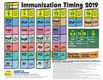 2019 CDC Immunization Schedule Diagram | Quizlet